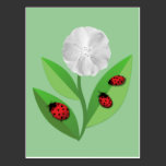 3 Ladybugs Postcard postcards