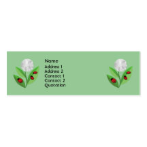 3 Ladybugs Profile Card Business Cards