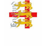3 Lions on St George's Cross t-shirts