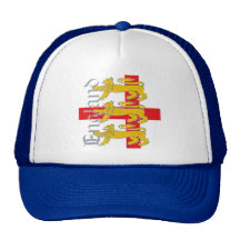 3 lions sur la croix de St George Casquettes De Camionneur