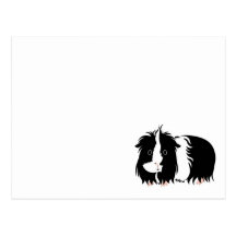 3 long haired piggies ポストカード
