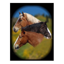 3 mare heads post cards