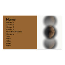 3 Moons Business Card