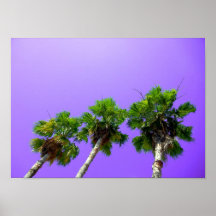 ~3 Palms~ POSTER/PRINT