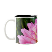 3 Pink Dahlia Burst Mug