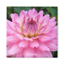 3 "Pink Dahlia Burst" Refrigerator Magnet