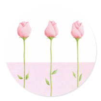 3 Pink Rosebuds Sticker