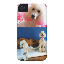 3 Poodles iPhone Case Case-Mate iPhone 4 Cases