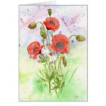'3 Poppies' Card