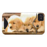 3 Puppies iPhone 4/4S Case Iphone 4 Id Case