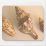 3 Shells Mousepad