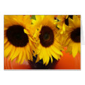 3 sunflowers cards