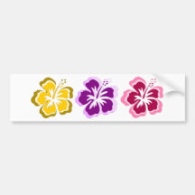 3 sweet flowers bumper stickers