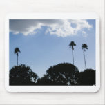 3 Tall Palms Mouse Pad