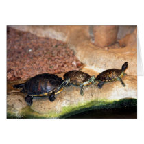 3 Turtle Friends Greeting Card cards