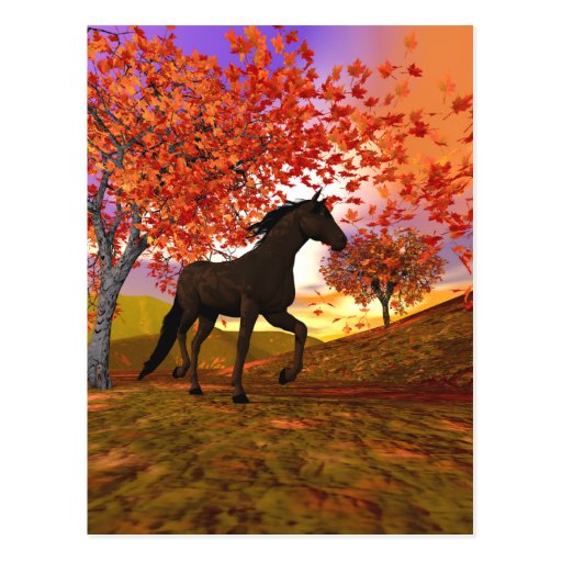 3d Fall Horse Postcards