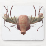 3d model of the female reproductive system mousepad