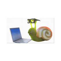 3d Snail Laptop