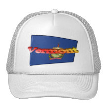 3D Vermont State Flag Hat