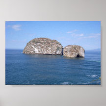 40 minutes from puerto vallarta print