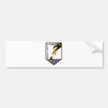 41o Stormo Bumper Stickers