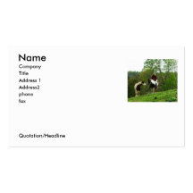 4220_1162208773326_1171027291_30470318_7146760_... BUSINESS CARD TEMPLATES