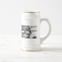 44th President of USA Mugs