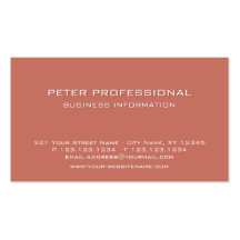 45 Modern Professional Business Card salmon colour