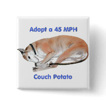 45 mph Couch Potato