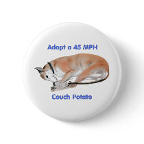 45 mph Couch Potato