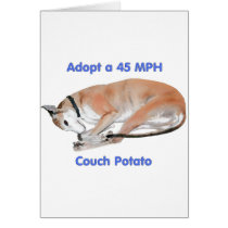 45 mph Couch Potato