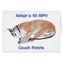 45 mph Couch Potato
