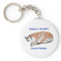 45 mph Couch Potato