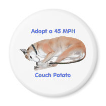 45 mph Couch Potato
