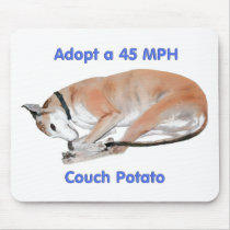 45 mph Couch Potato