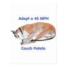 45 mph Couch Potato Post Cards