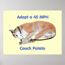 45 mph Couch Potato