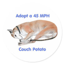 45 mph Couch Potato