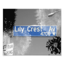 4700 West Lily Crest Ave Sign Photo Art