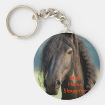 4715_84787394023_741204023_1806859_4220785_n, S... Key Chains