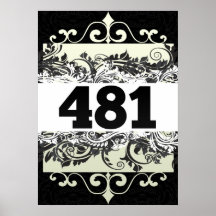 481 POSTER