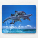 4 Dolffins mousepads