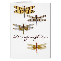 4 Dragonflies Cards