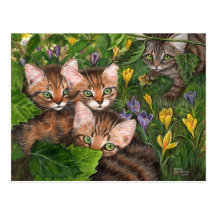 4 Kittens Crocus Postcard