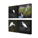 4 Little Egrets Wrapped Canvas