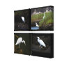 4 Little Egrets Wrapped Canvas