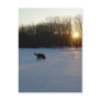 4 March 2010 Postcards