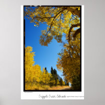 4 Mile Road, Cripple Creek, Colorado Poster