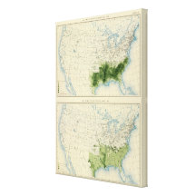 52 Cotton 1890 Canvas Print