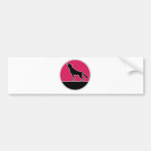 52o Stormo Bumper Stickers